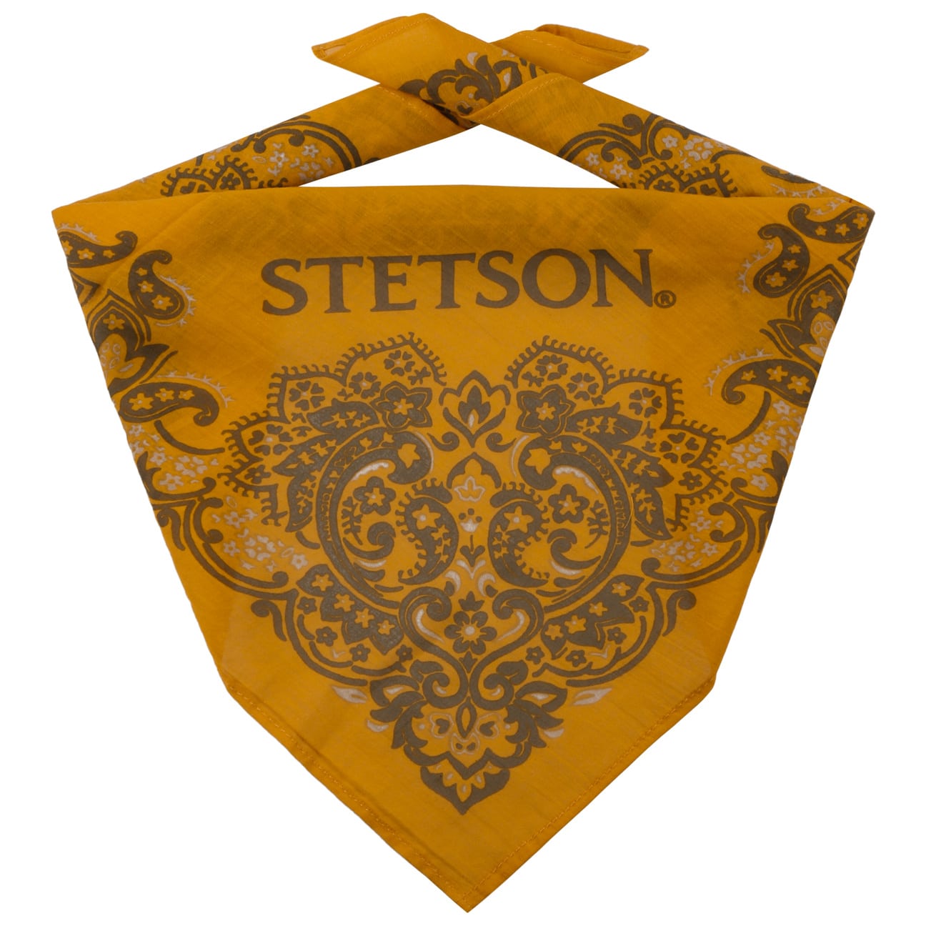 Paisley Bandana - JJ Hat Center ®