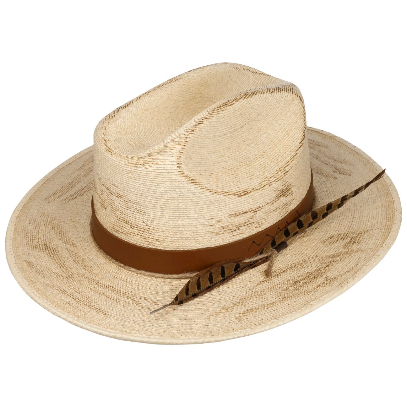 Outdoor Mexican Palm - JJ Hat Center ®