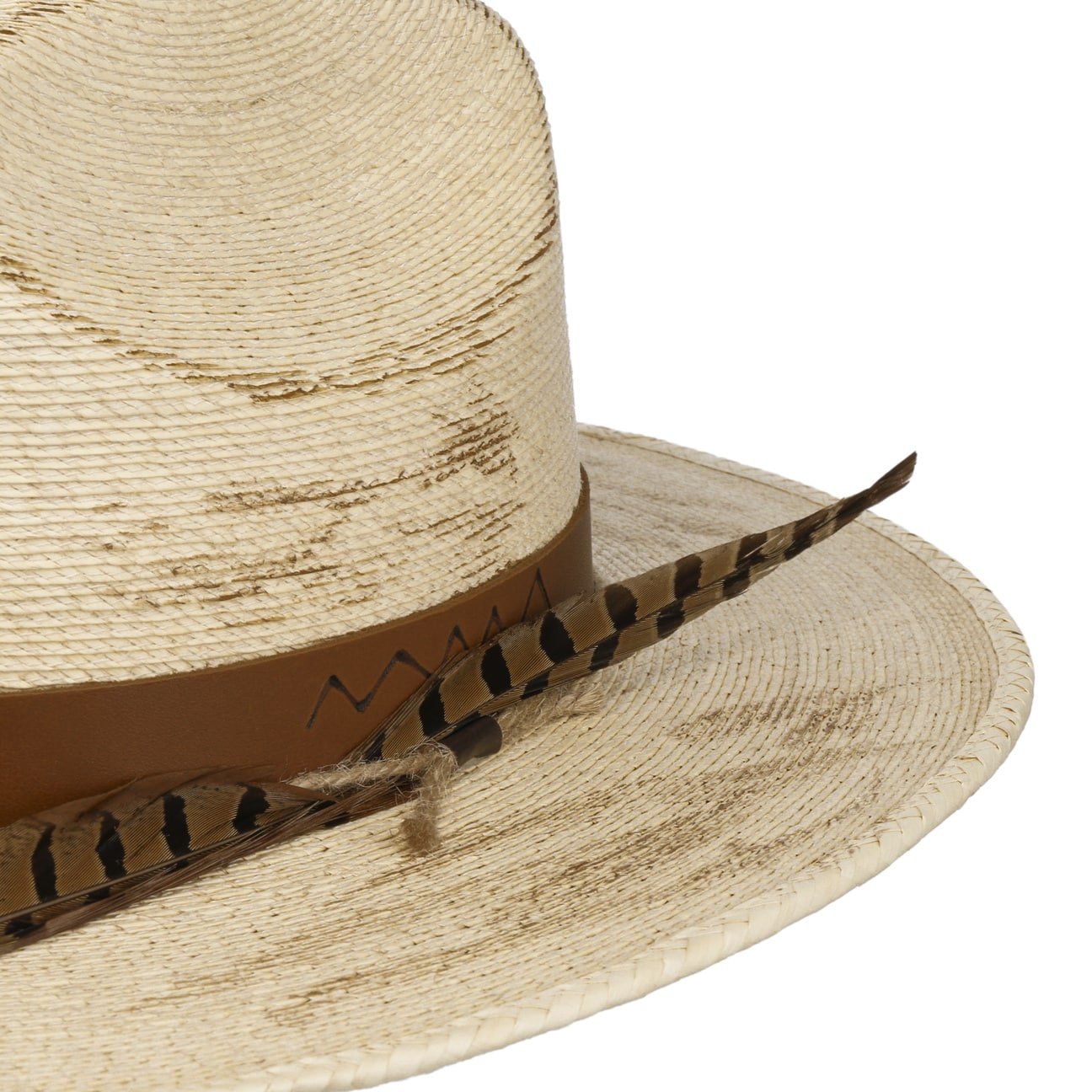 Outdoor Mexican Palm - JJ Hat Center ®